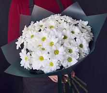 Букет цветов из:  Хризантемы #REPLACE_PRED# Озерецкий
