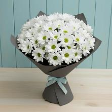 Букет цветов из:  Хризантемы в Озерецкий